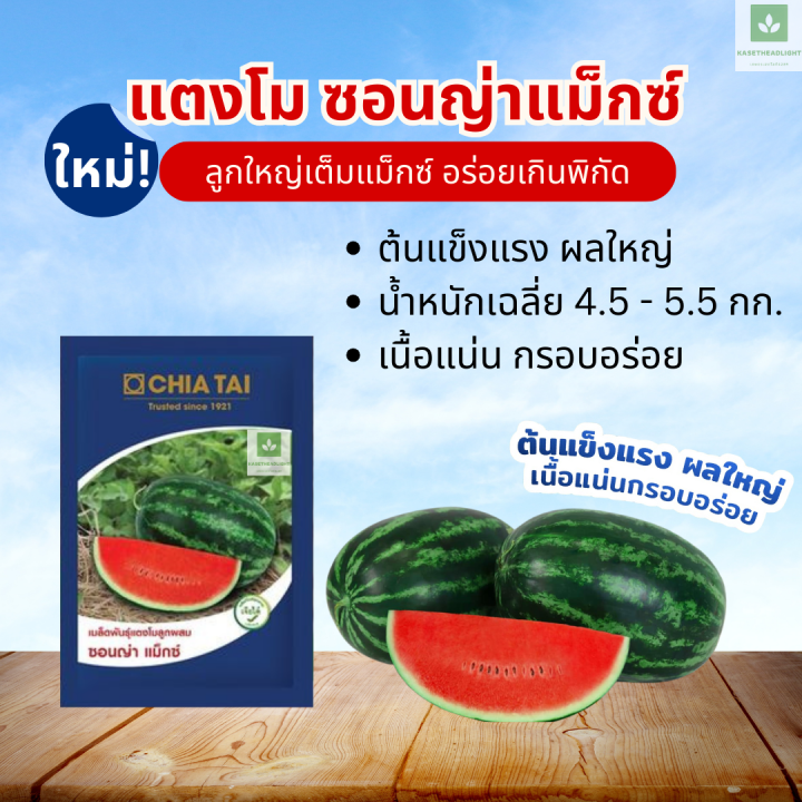 เมล็ดพันธุ์แตงโม เจียไต๋ ซอนญ่า แม็กซ์ เนื้อแดง หวานเจี๊ยบ