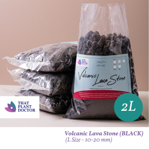 Volcanic Lava Stone L Size (2L)(BLACK 10-20 mm)(Volcano Rock / Lava Stone )(Suitable for Aquarium Aquascape Terrariumetc)