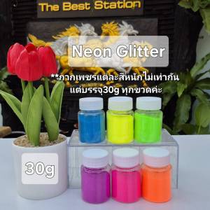 กากเพชร สีนีออน เนื้อละเอียด 0.2มม.โรยกุหลาบได้ มีขนาด 30g 70g 100g  Neon Glitter 0.2mm (1/128")
