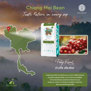 HILLKOFF : เมล็ดกาแฟอราบิก้า ปางกื๊ด กาแฟ อาราาบิก้า 100% Arabica Coffee Pang Keud ขนาด 250 กรัม เมล็ดกาแฟเชียงใหม่