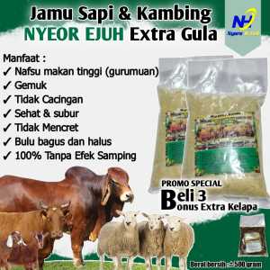 JAMU SAPI NYEOR EJUH EXTRA GULA PENGGEMUK SAPI PENGGEMUK KAMBING Obat Tambahan Untuk Sapi Dewasa Bentuk Bubuk Berkualitas Tinggi Pengiriman Cepat Dan Aman Promo Menarik Beli 3 Gratis 1 - Lazada