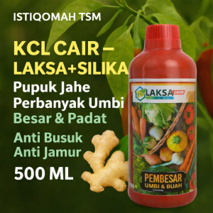 BIO KCL CAIR LAKSA + Silika 500ML – Pupuk Jahe Perbanyak Umbi Besar & Padat | Anti Busuk Anti Jamur Panen Jahe Melimpah