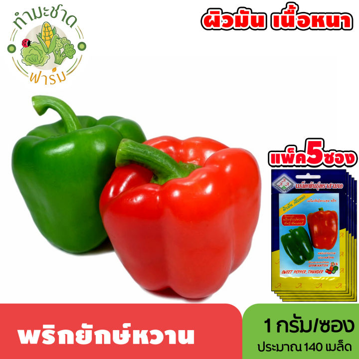 3A เมล็ดพันธุ์พริกยักษ์หวาน พันธุ์ทันเดอร์