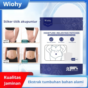 Hot Compress Magnetic Far Infrared Dehumidify Patch to Dispel Dampness (tcm) Breathable and Anti-allergic 祛湿贴