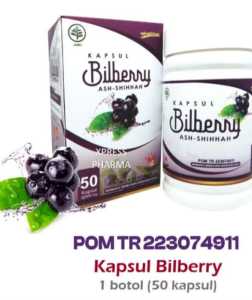 BILBERRY KAPSUL HERBAL VITAMIN UNTUK KESEHATAN MATA