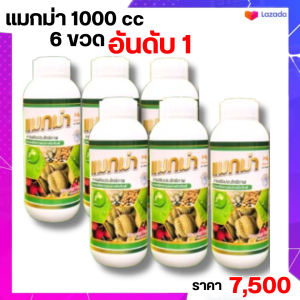 แมกม่า 6 ขวด ปริมาณขวดละ1ลิตร สารจับใบเสริมประสิทธิภาพเข้มข้น หมดปัญหาแมลง เพลี้ย ประหยัดปุ๋ยได้มากกว่า 40% ช่วยสร้างการเจริญเติบโตให้กับพืชได้ทุกชนิด