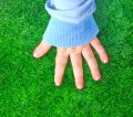 A-Tech Artificial Carpet Grass with 2 option. 
