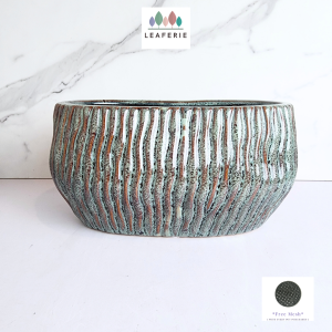 The Leaferie Hollis Long Shallow ceramic pot flowerpot flower plant pots planter planters