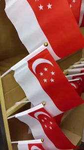 NDP 100Pcs 14×21cm Singapore 61th National Day Handheld Flag Party Outdoor Lights Decor Wholesale
