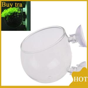[Buytra] UNIKI Fish Tank Mini Glass Pot Water Potted Aquatic Planting Cylinder Cup