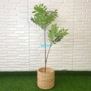 Pohon Artificial Daun Willow X2 Merah & Hijau Semilatex Cover Pot Eceng Gondok Dekorasi Studio Aesthetic