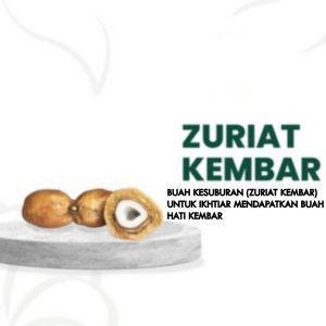 Buah Zuriat Kembar 1pcs - buah Zuriat promil