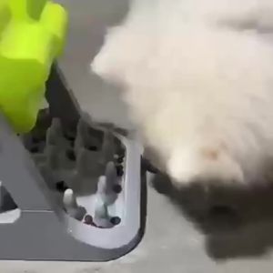 ของเล่นสุนัขที่แนะนำ ชามอาหารแมว ของเล่น อุปกรณ์ทำอาหารแบบดรัม สัตว์เลี้ยงแบบหมุน การฝึกปฏิสัมพันธ์ทางปัญญาอาหารช้า