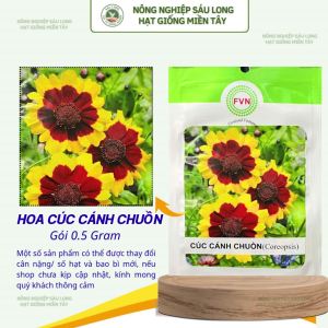 Gói 0.5G Hạt Giống Hoa Cúc Cánh Chuồn Coreopsis – Cánh Đỏ Viền Vàng Thu Hút Ong Bướm Dễ Trồng