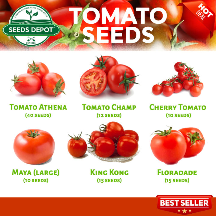 Tomato Seeds - Cherry Athena Roma Champ KingKong Pink Diamond Floradade ...