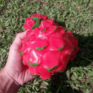 Replika Buah Naga (1pcs) / dummy buah / mainan anak / edukasi anak / dekorasi meja makan