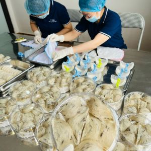 Yến Thô Hảo Hạng Nguyên tổ Cực ít lông DEWIS NEST Hàng tuyển chọn Khánh Hòa Già Gân