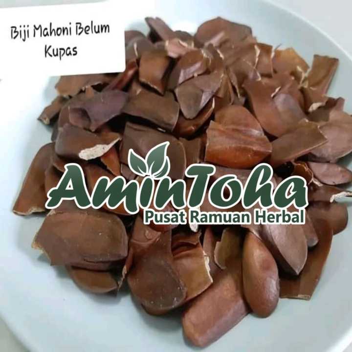 Biji mahoni kering 1kg | Lazada Indonesia