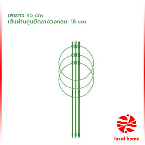 Thaihome โครงเถาวัลย์ เสามะเขือเทศ โครงปลูก อุปกรณ์สำหรับพืชไม้เลื้อย 45cm 60cm plant trellis