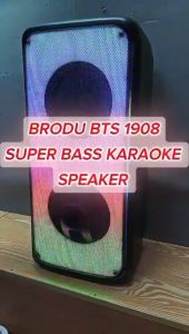 BTS-1908 1708 2255 1898 1740 1808 2187 speaker color LED charging party karaoke speaker bluetooth with mic