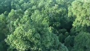 Solid Wood Bedside Table Modern Minimalism Bedroom Household Black Bedside Table