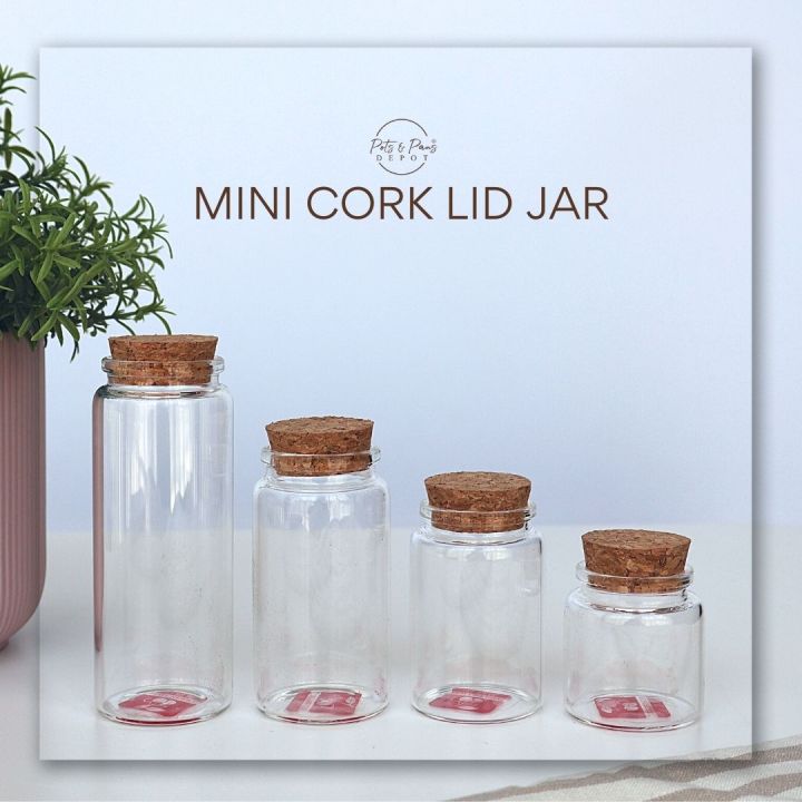 Red Cherry Mini Cork Lid Jar | Lazada PH