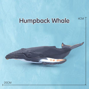 Mainan Simulasi Ikan Anak Paus Whale / Hiu / Lumba-Lumba Figure Whale Mainan Edukasi Anak Modeling Binatang Ikan Paus Simulasi Roma Bahan Plastik