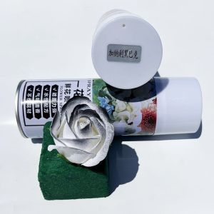 Floral Color Spray Cepat Kering Cool Color Floral Spray Paint Cat Pilox Bunga Pengubah Warna Bunga Asli Untuk Bunga Cat Semprot Barang Florist Florist Pewarna Bunga