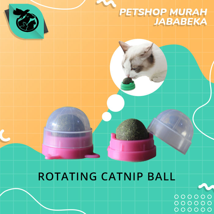 Mainan Kucing Cat toys Bola Catnip Ball Lazada Indonesia