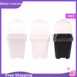 Water Leaves 5pcs Square หม้อดอกไม้ขนาดเล็กที่มีความชื้นโดมต้นกล้าปลูกหม้อ