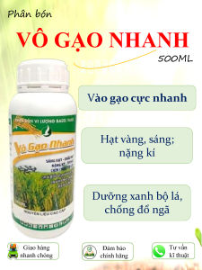 Phân bón giúp LÚA TRỔ THOÁT TỐT VÀO GẠO NHANH HẠT VÀNG SÁNG TĂNG NĂNG SUẤT - SIÊU VÔ GẠO 500ML