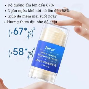 Kem Dưỡng Ẩm Vaseline Nicor 40g - Giúp Làm Mềm Mại Da Gót Chân Ngừa Khô Nứt Dưỡng Mịn Da - Snappy 4U