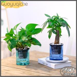 【Guoyuqiche】🔥🔥🔥 หม้อดอกไม้โปร่งใส Self-watering พืชดอกไม้หม้อตกแต่งบ้านสวน