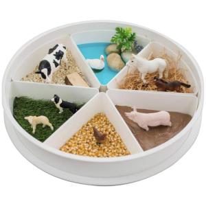 Child Friendly Sensory Playtray Toy Interaction Learning Activity Playtray Set for Fine Motor Skill Training Education