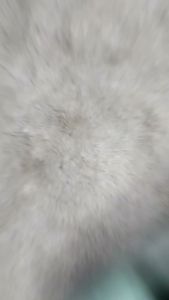 Dress Anak Gambar Kelinci Dress Bunny Lengan Panjang Untuk Anak Usia 1 2 3 4 5 6 Tahun