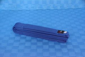 SS King 2 Rounds Martial Arts Color Belt