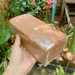 Mụn dừa viên gạch giá thể hữu cơ 100% dùng ươm trồng rau cây cảnh trọng lượng 450g