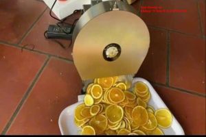 Máy cắt lát các loại củ quả như cà rốt  khoai lang  sả  tỏi ..