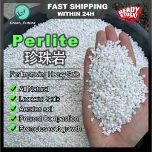 Perlite  珍珠岩 3-5mm For Cactus & Succulents (Natural Expanded Volcanic Perlite) Planting Media Granular soil  颗粒土