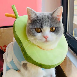 Pet Headgear Cat Elizabeth Circle Anti Licking Adjustable Protector Cat Dog Cute Style Cotton Neck Collar Pet Wound Recovery