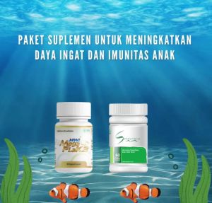 Paket MEGA FLAK2 & SPIRUTHIN: Suplemen Multivitamin dan Nutrisi untuk Kesehatan Tubuh