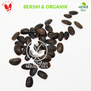 Biji Kedawung / Kedaung / kedawung Grade A 1kg Bersih dan Organik