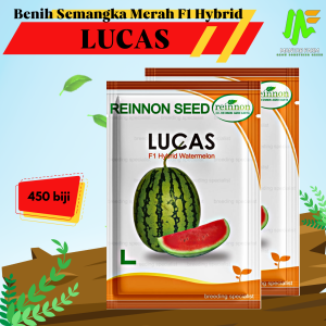 Benih Bibit Semangka Merah F1 Hybrid - LUCAS - Reinnon Seed
