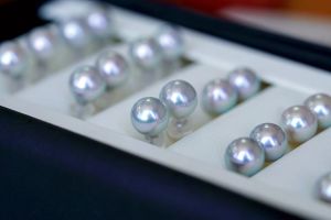 Montagne Jewelry Pearl Earrings 18k Pure White Gold Simple Design Fine Jewellery Natural 7.5-8mm Seawater Pearl Earring Stud Earrings