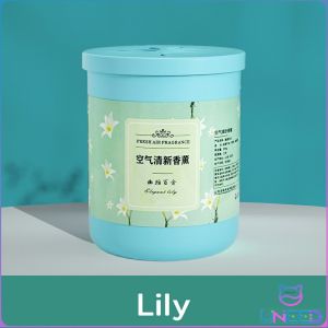 Need Air Freshener Solid Perfume Fragrance Bedroom Car Toilet Deodorization Aromatherapy Scent Gift