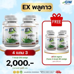 ราคาถูก4 แถม 3 EXพลูคาว สมุนไพร พลูคาวสกัด พลูคาวสกัดสูตรเข้EXพมข้น ต้านเชื้อไวรัส ต่อต้านการอักเสบ เสริมสร้างภูมิคุ้มกัน 30 แคปซูล