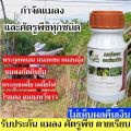 กอร์ดอน ออร์แกนิค ตร้าก้าวทวี สมุนไพรกำจัดศัตรูพืช เป็นออร์แกนิคไม่มีสารเคมี ไม่มีสารตกค้าง. 
