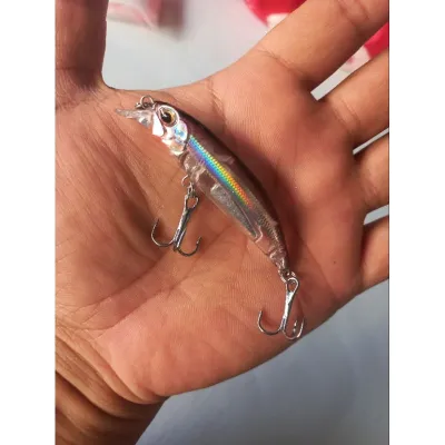 Lutac Budget Bolinao Bangus Red Head Ghost Dilis Sinking minnow 68mm 8.1grams Fishing Lure