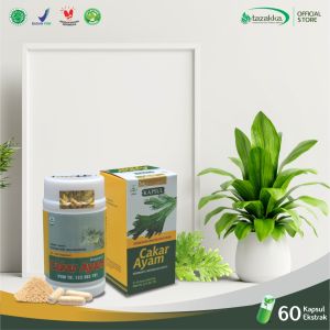 Kapsul Cakar Ayam Obat Batuk Berdahak Dewasa Bronkitis Herbal Radang Tenggorokan