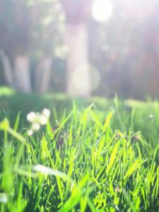 CHRLCK Womens Hiking Summer Jacket Women Camping Trekking Fishing Sun Clothes Outdoor Sport Windbreaker Anti UV Coat